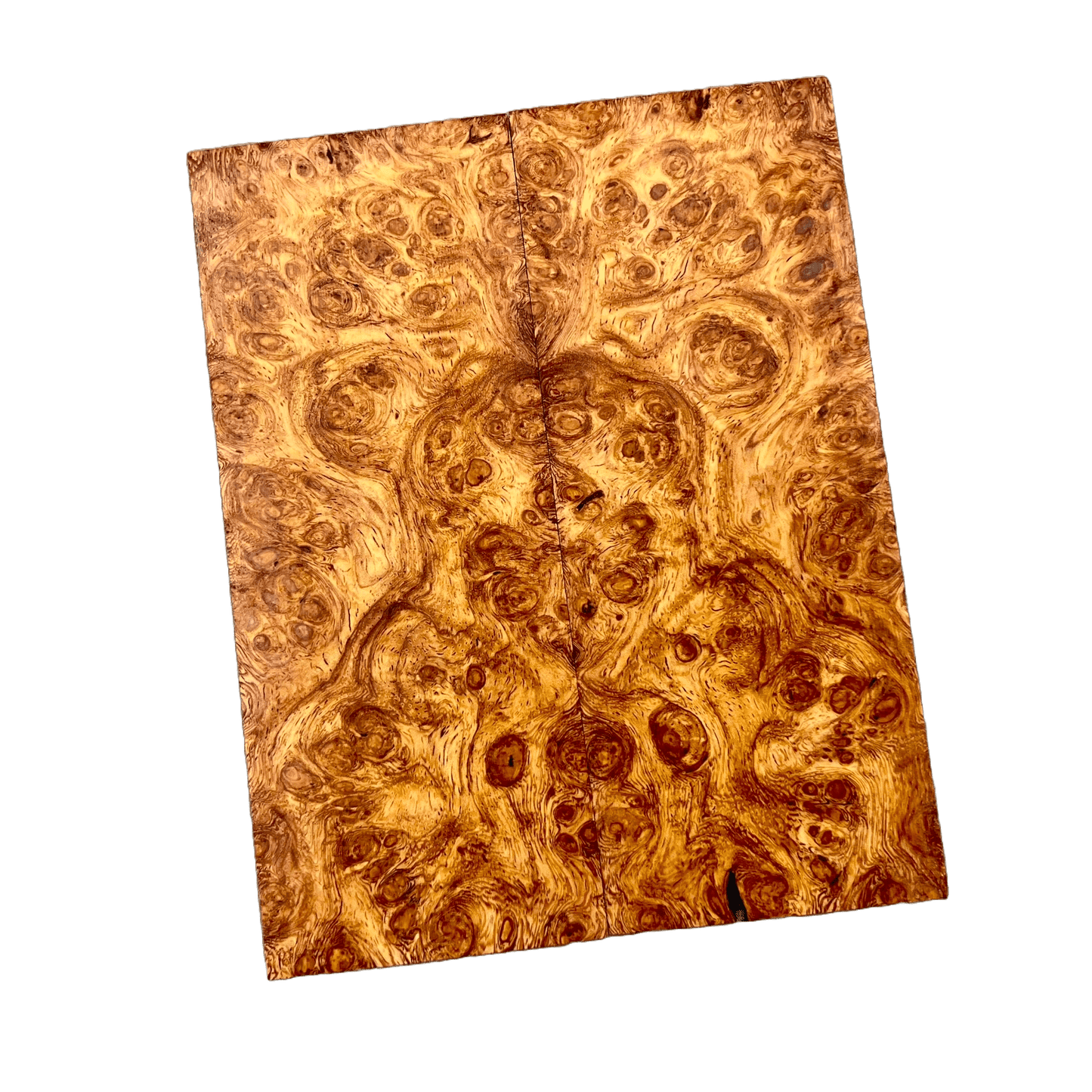 Afzelia Burl Scales (Stabilized by Bitterroot Handle Works) - AFZ09