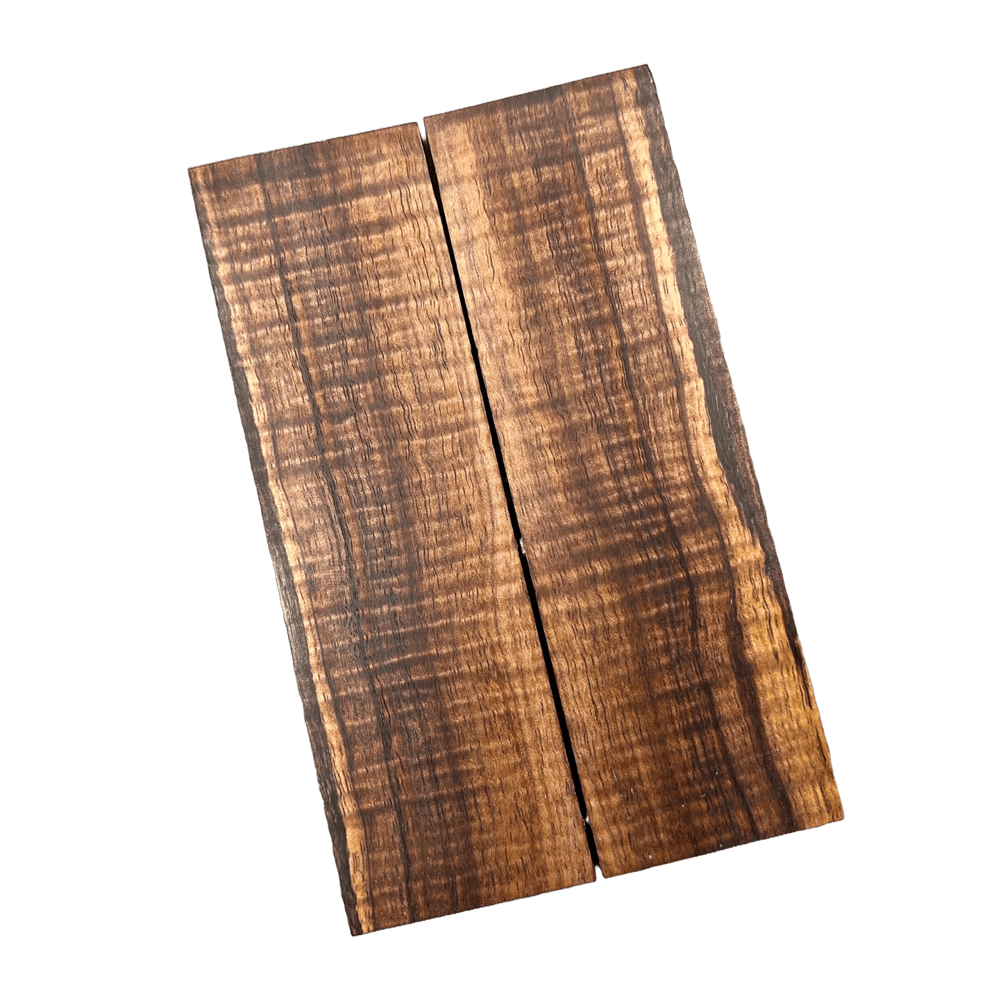Curly Tasmanian Blackwood Scales (K&G Stabilized) - CT01