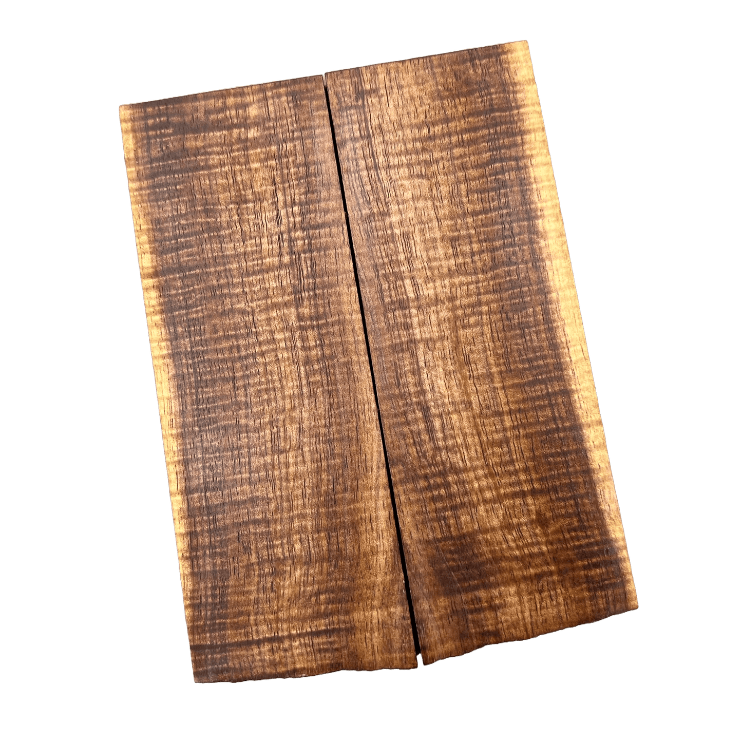 Curly Tasmanian Blackwood Scales (K&G Stabilized) - CT04