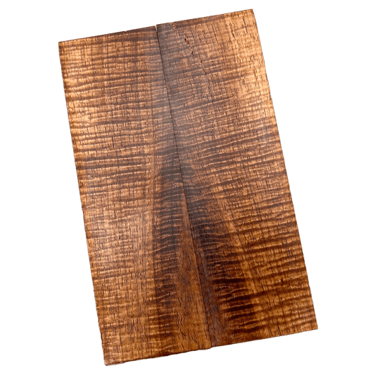 Curly Tasmanian Blackwood Scales (K&G Stabilized) - CT08
