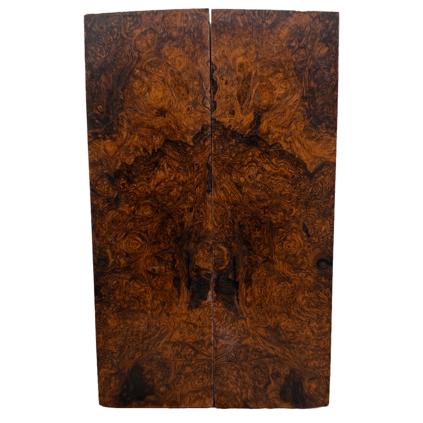 Honduran Rosewood Burl Scales (Natural) HRB34