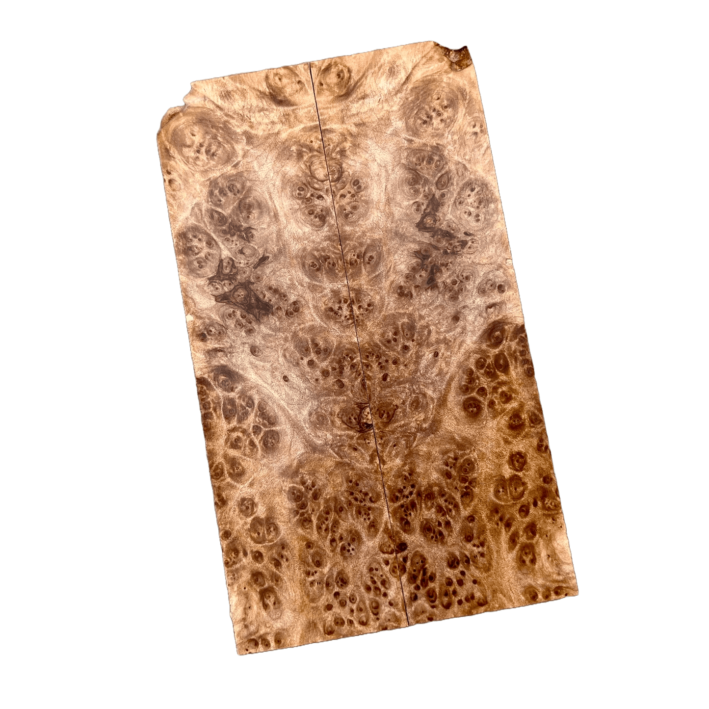 Maple Burl Scales (K&G Stabilized) - MB20