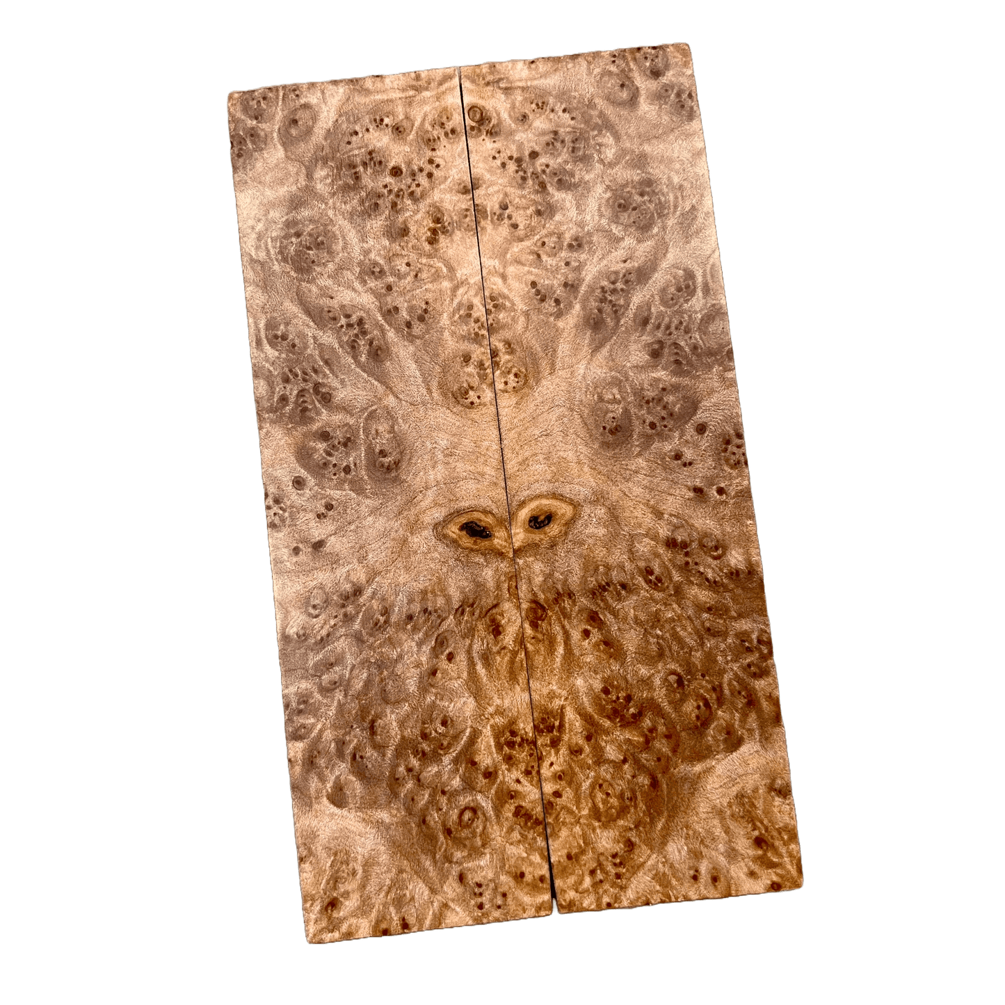Maple Burl Scales (K&G Stabilized) - MB21