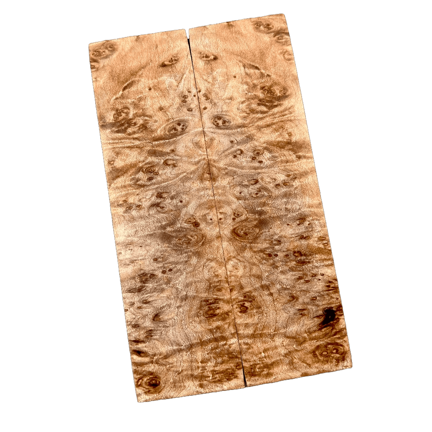 Maple Burl Scales (K&G Stabilized) - MB23