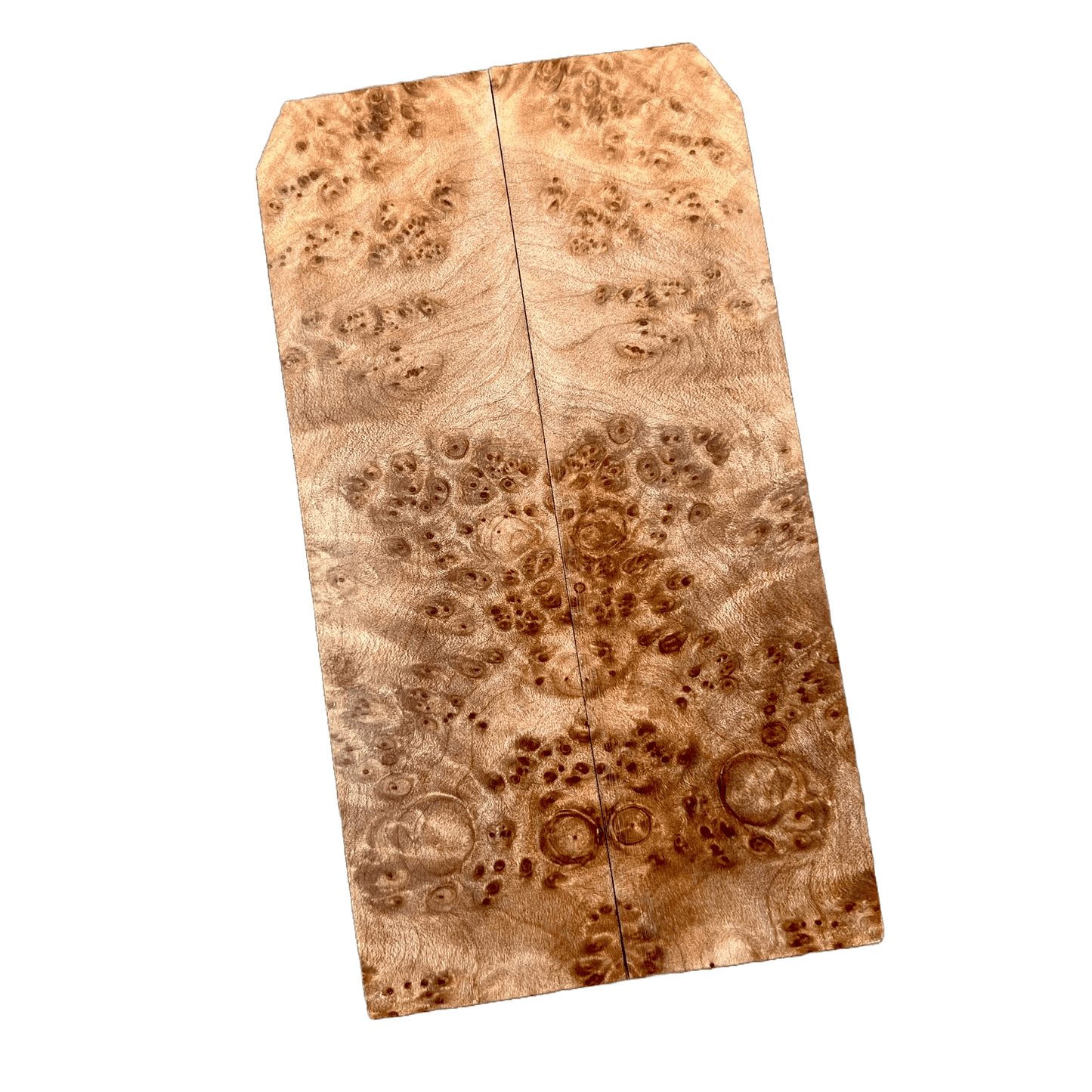 Maple Burl Scales (K&G Stabilized) - MB24