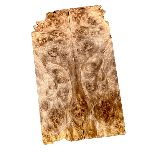 Maple Burl Scales (K&G Stabilized) - MB26