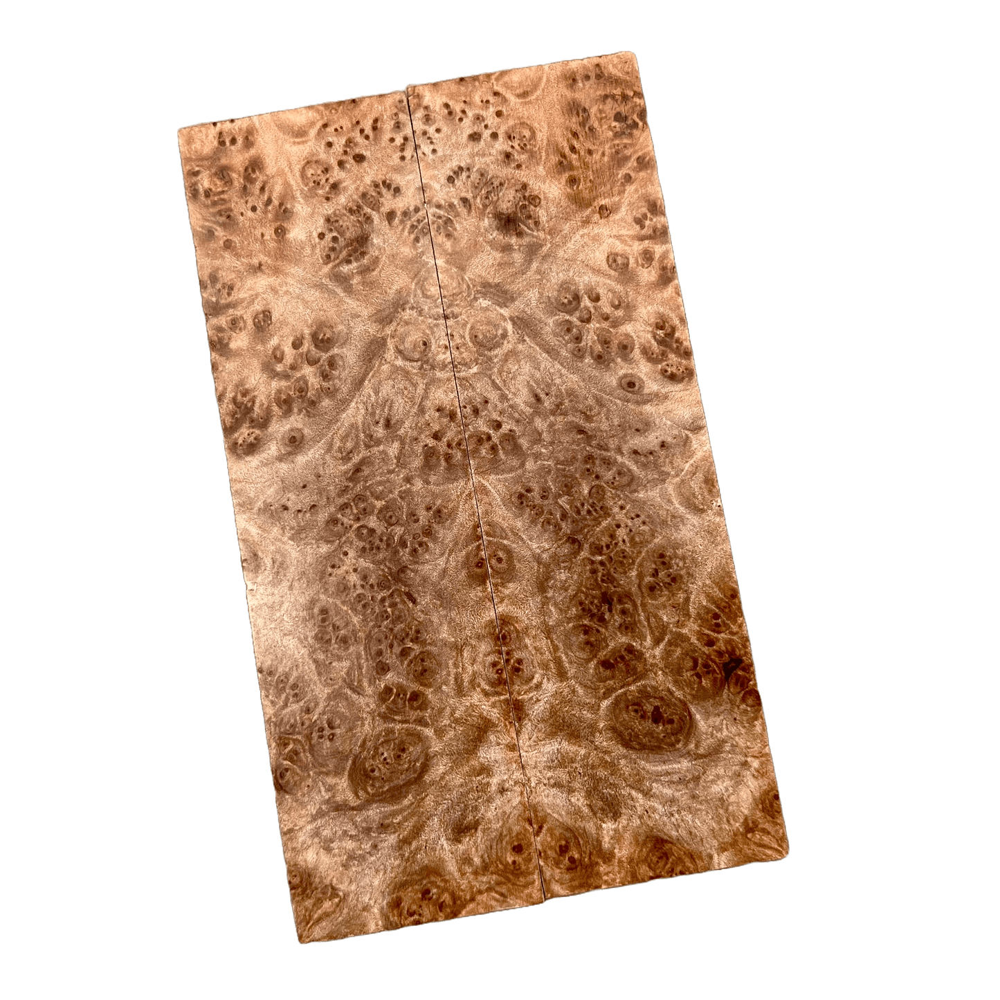 Maple Burl Scales (K&G Stabilized) - MB27