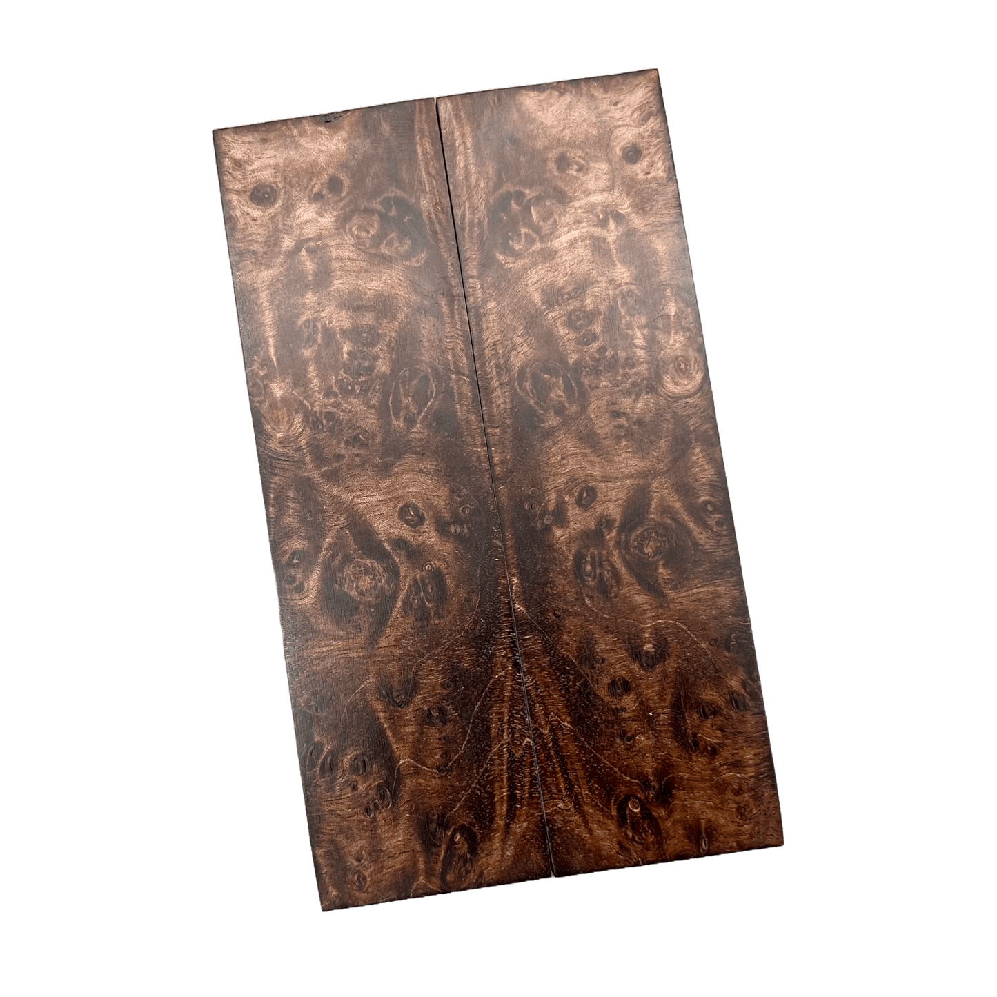 Brown Maple Burl Scales (K&G Stabilized) - MB28