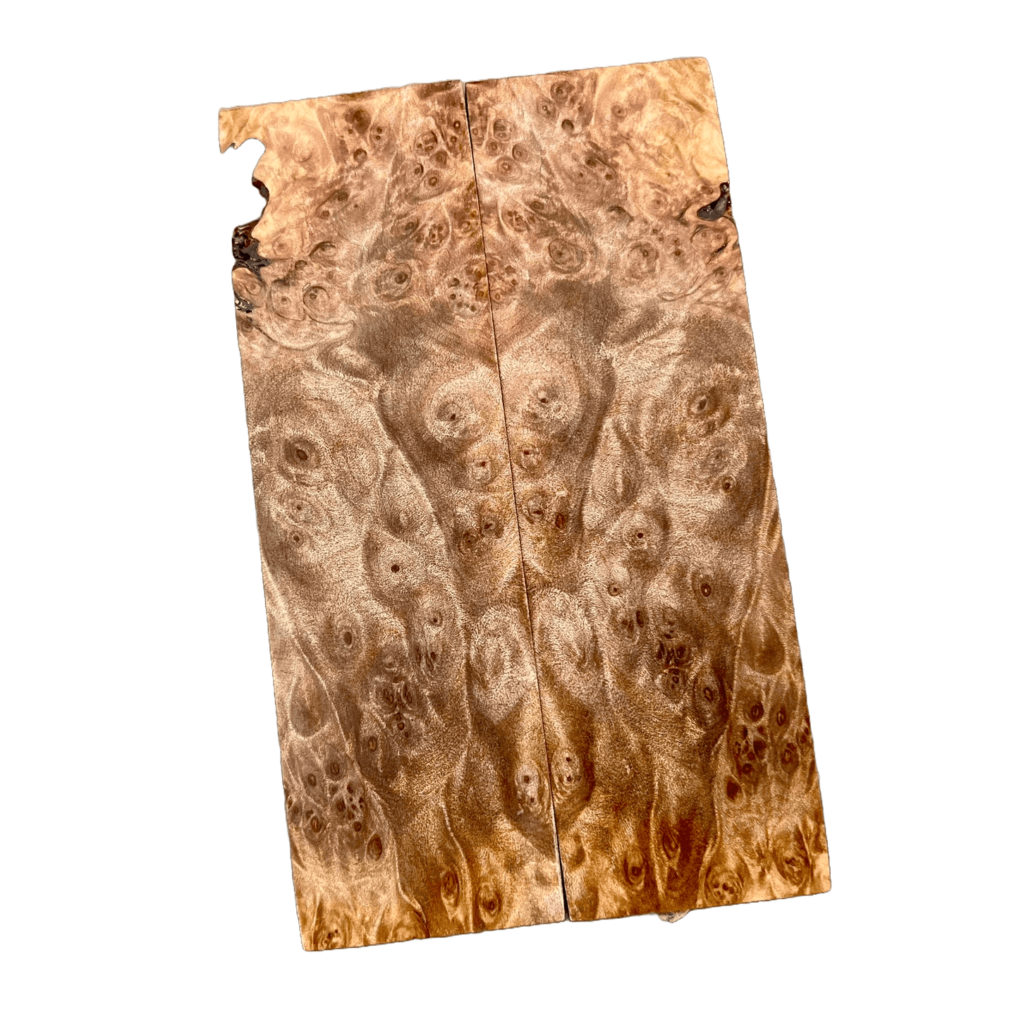 Maple Burl Scales (K&G Stabilized) - MB28