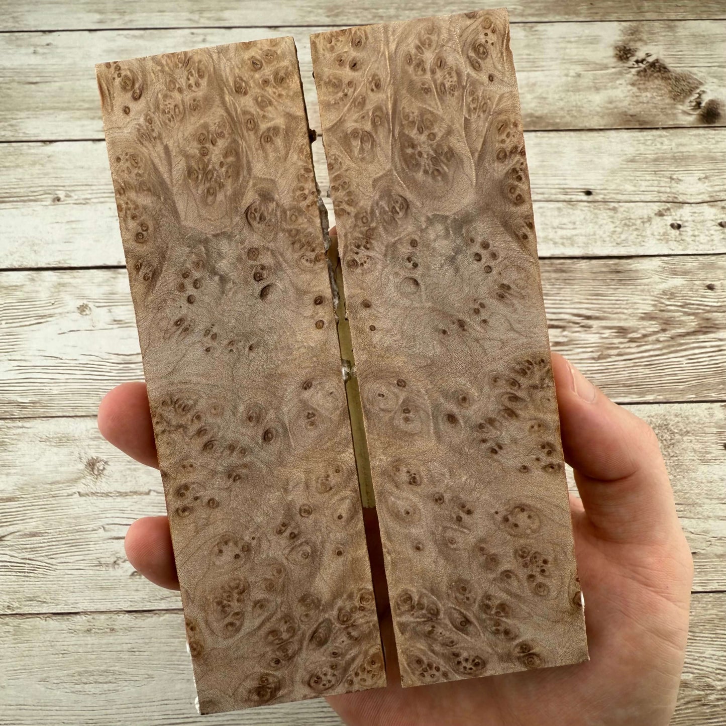 Maple Burl Scales (K&G Stabilized) - MB46