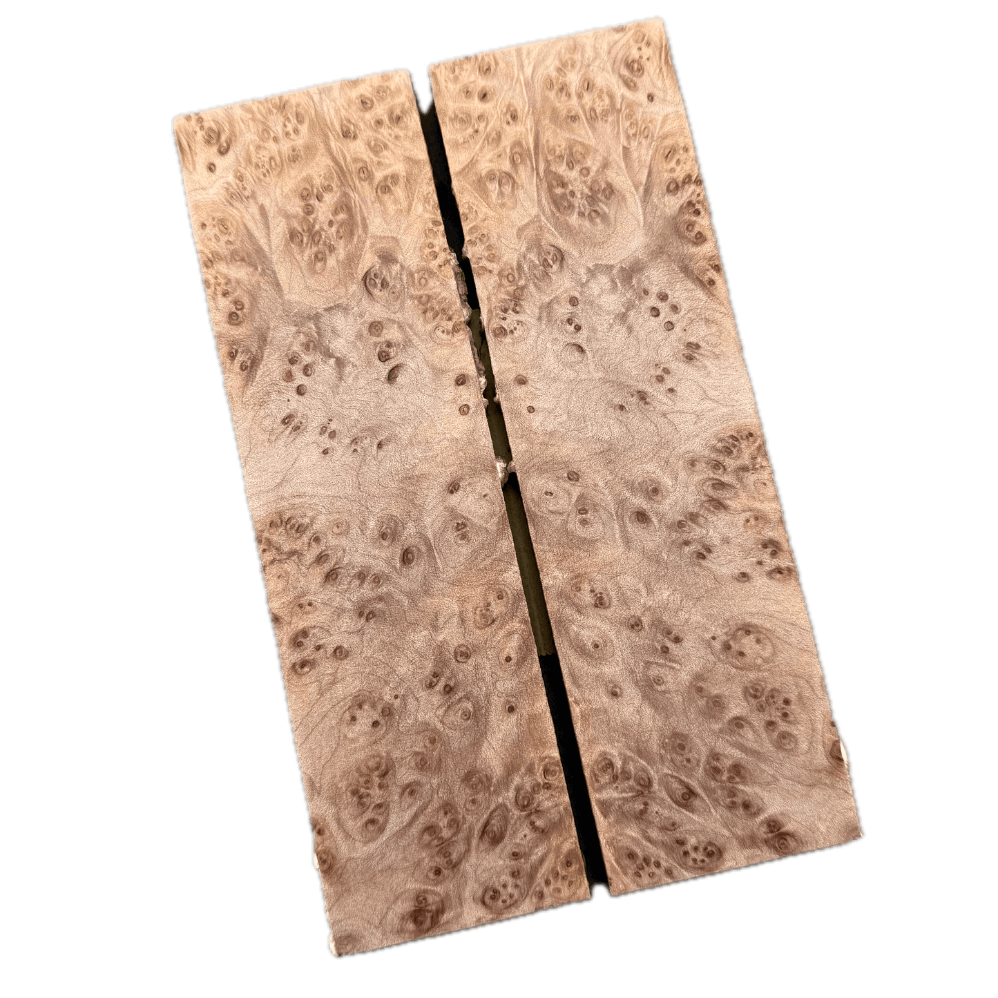 Maple Burl Scales (K&G Stabilized) - MB46