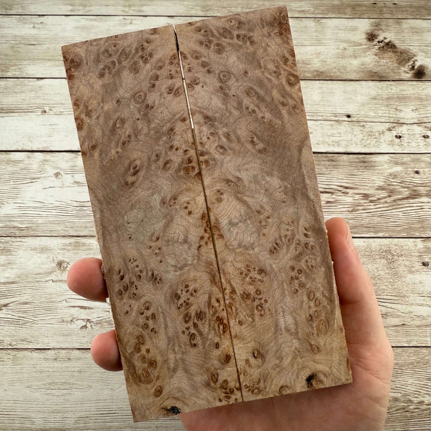 Maple Burl Scales (K&G Stabilized) - MB47