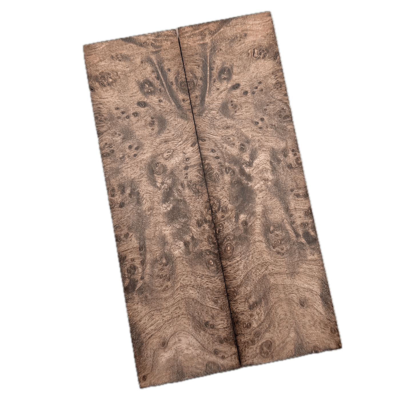 Brown Maple Burl Scales (K&G Stabilized) - MB48
