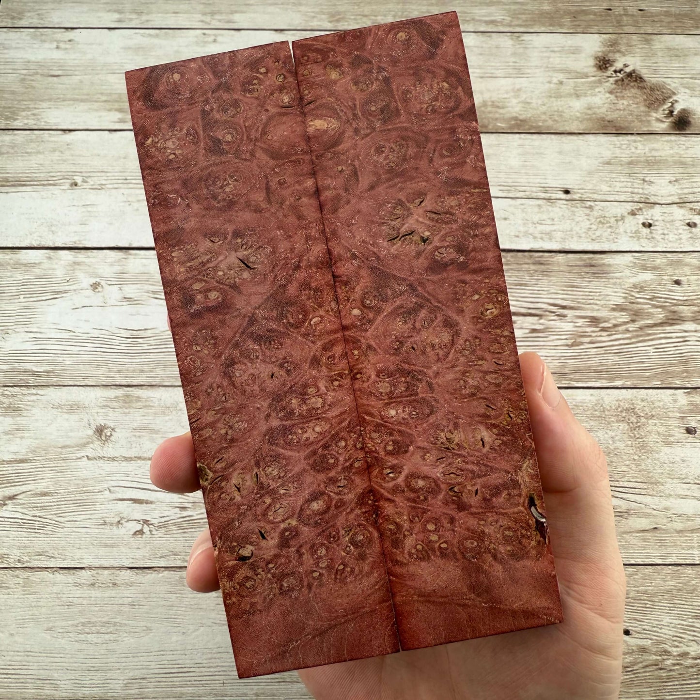 Red Maple Burl Scales (K&G Stabilized) - MB50
