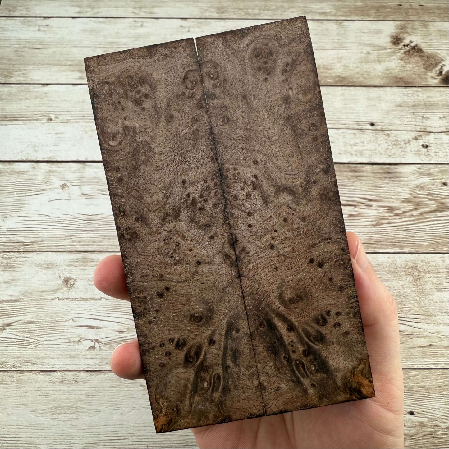 Brown Maple Burl Scales (K&G Stabilized) - MB51