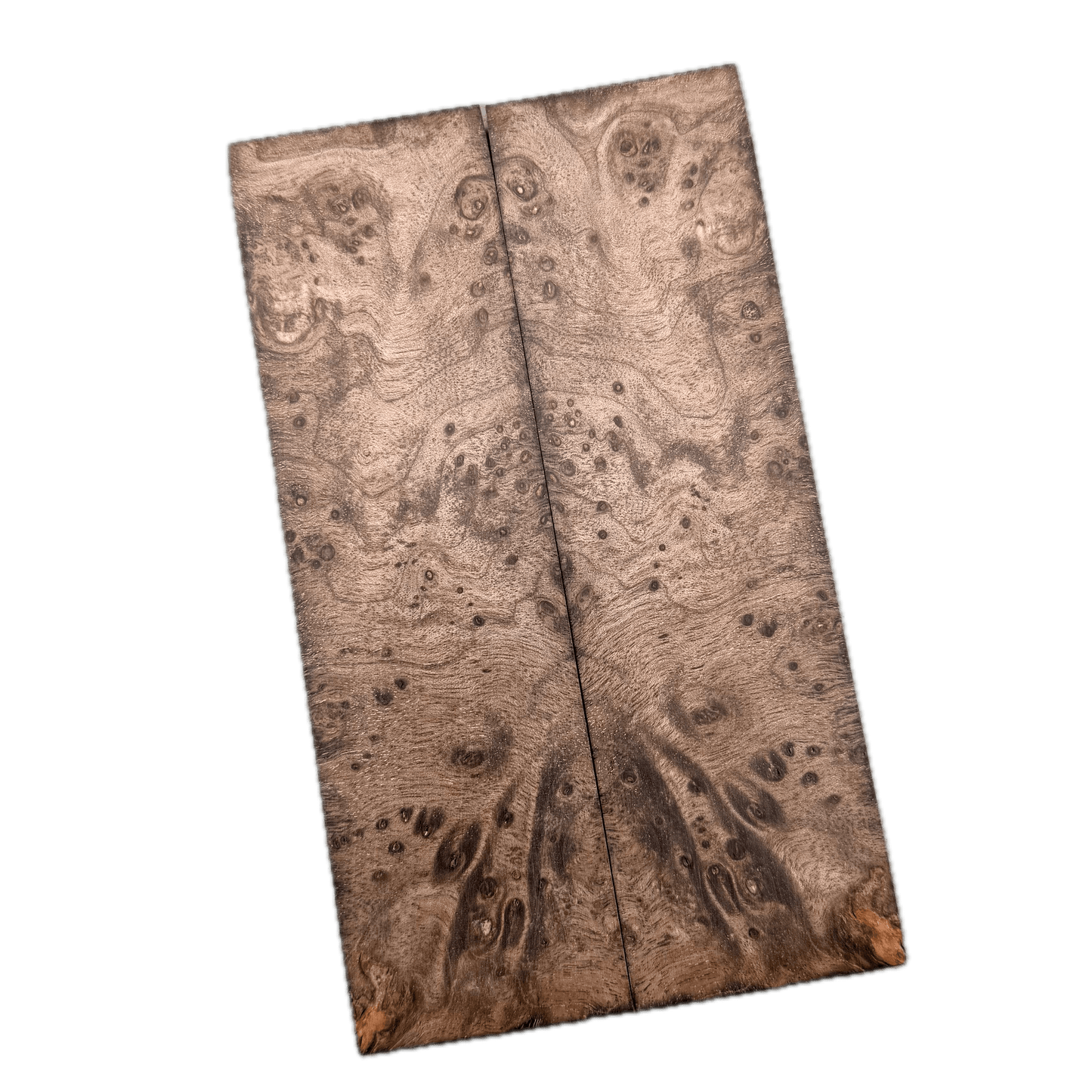 Brown Maple Burl Scales (K&G Stabilized) - MB51