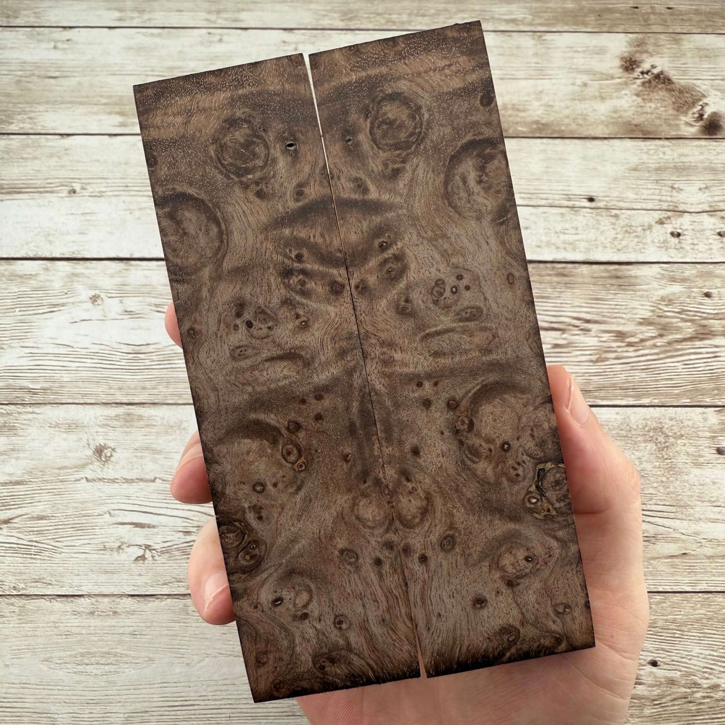 Brown Maple Burl Scales (K&G Stabilized) - MB52
