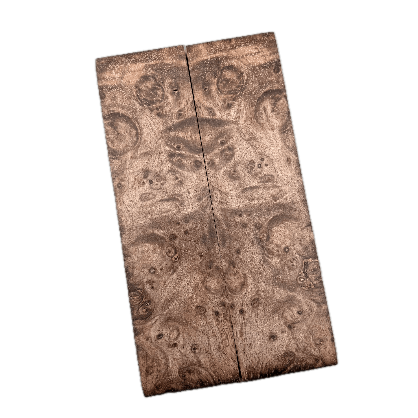 Brown Maple Burl Scales (K&G Stabilized) - MB52