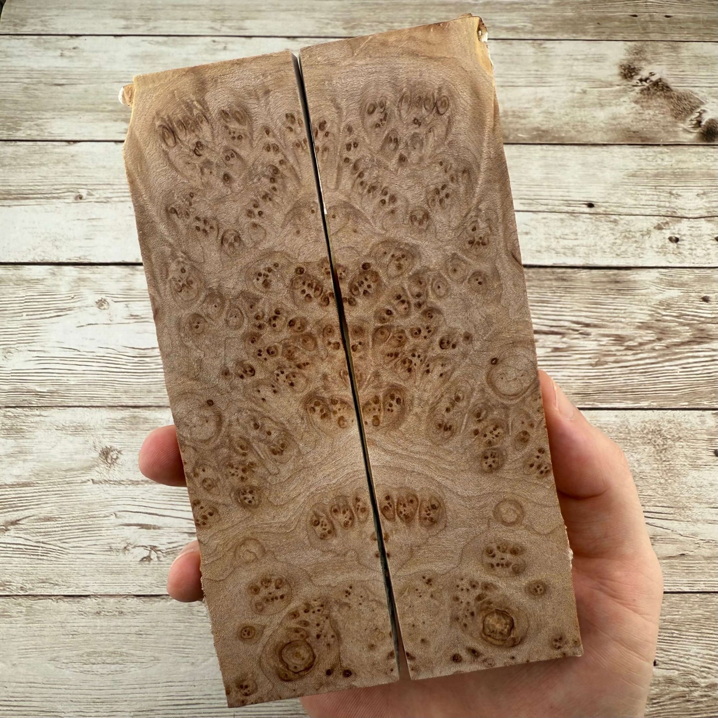 Maple Burl Scales (K&G Stabilized) - MB53