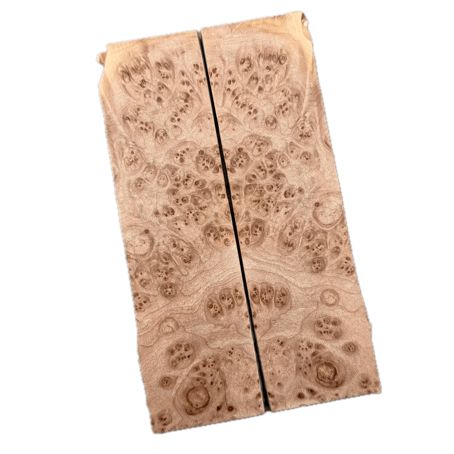 Maple Burl Scales (K&G Stabilized) - MB53