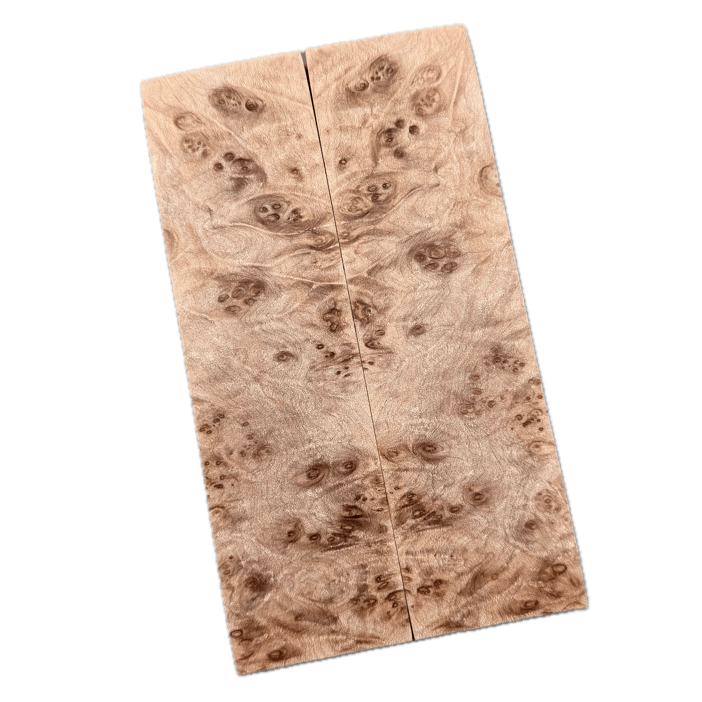 Maple Burl Scales (K&G Stabilized) - MB54