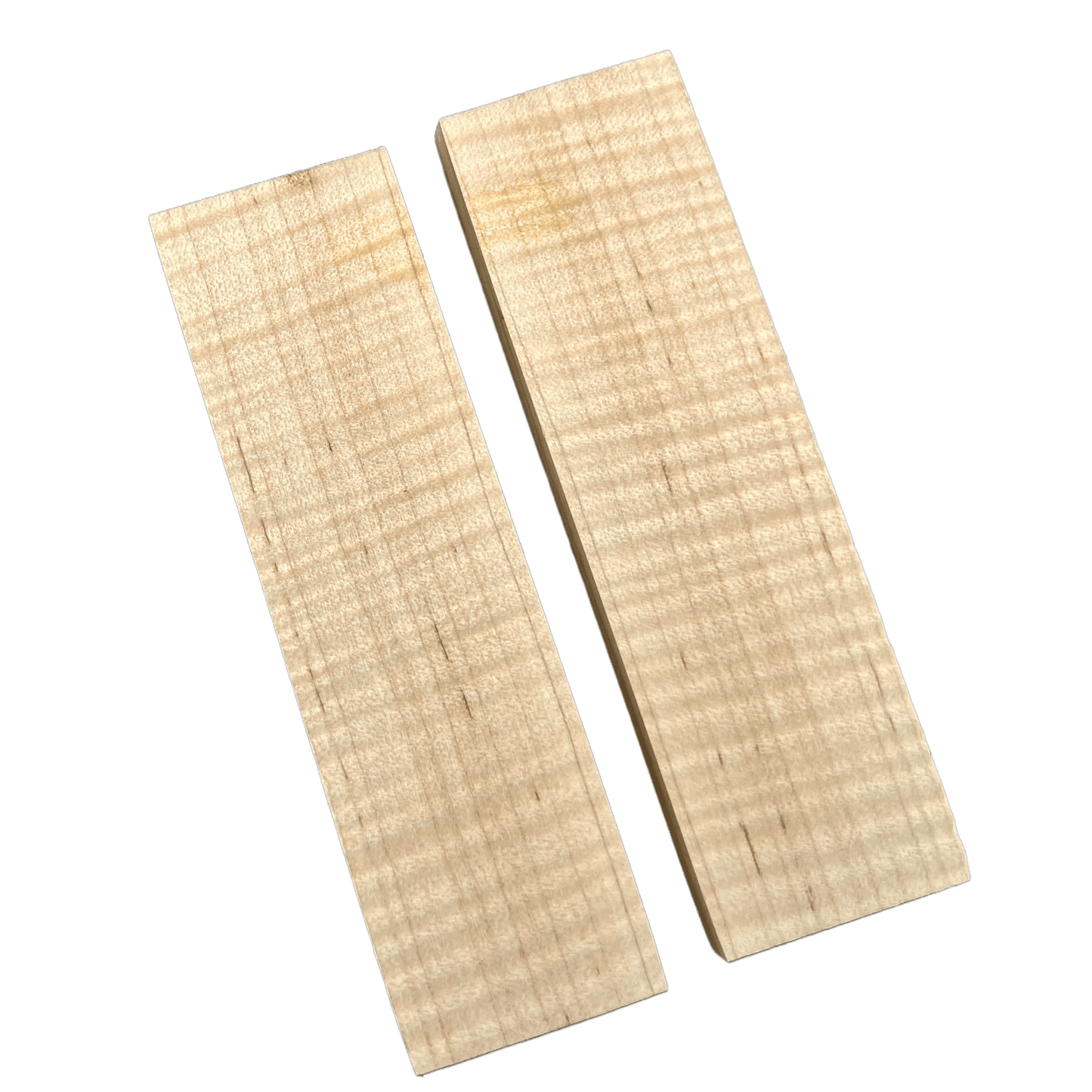 Curly Maple Scales (K&G stabilized) - MCU02