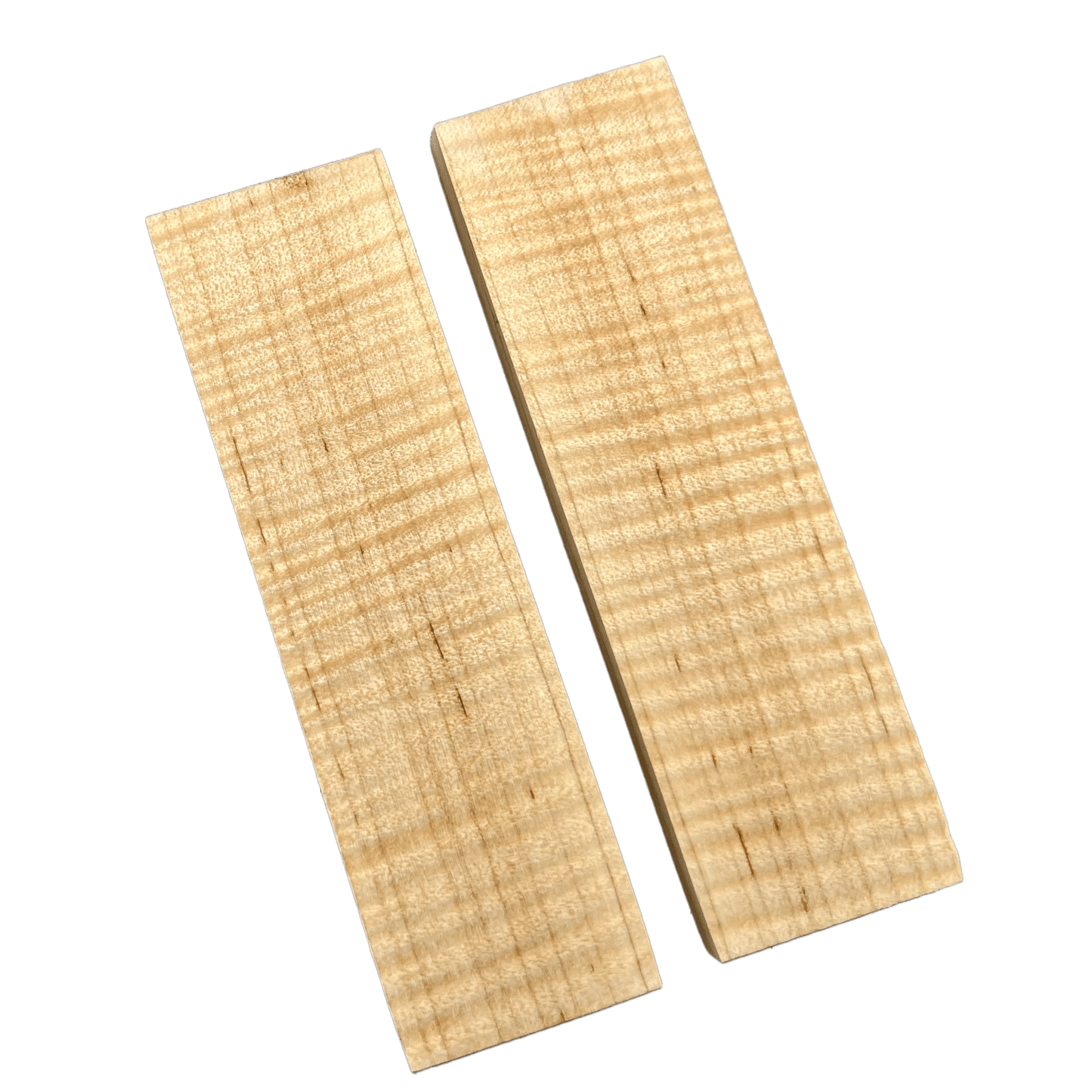 Curly Maple Scales (K&G stabilized) - MCU02