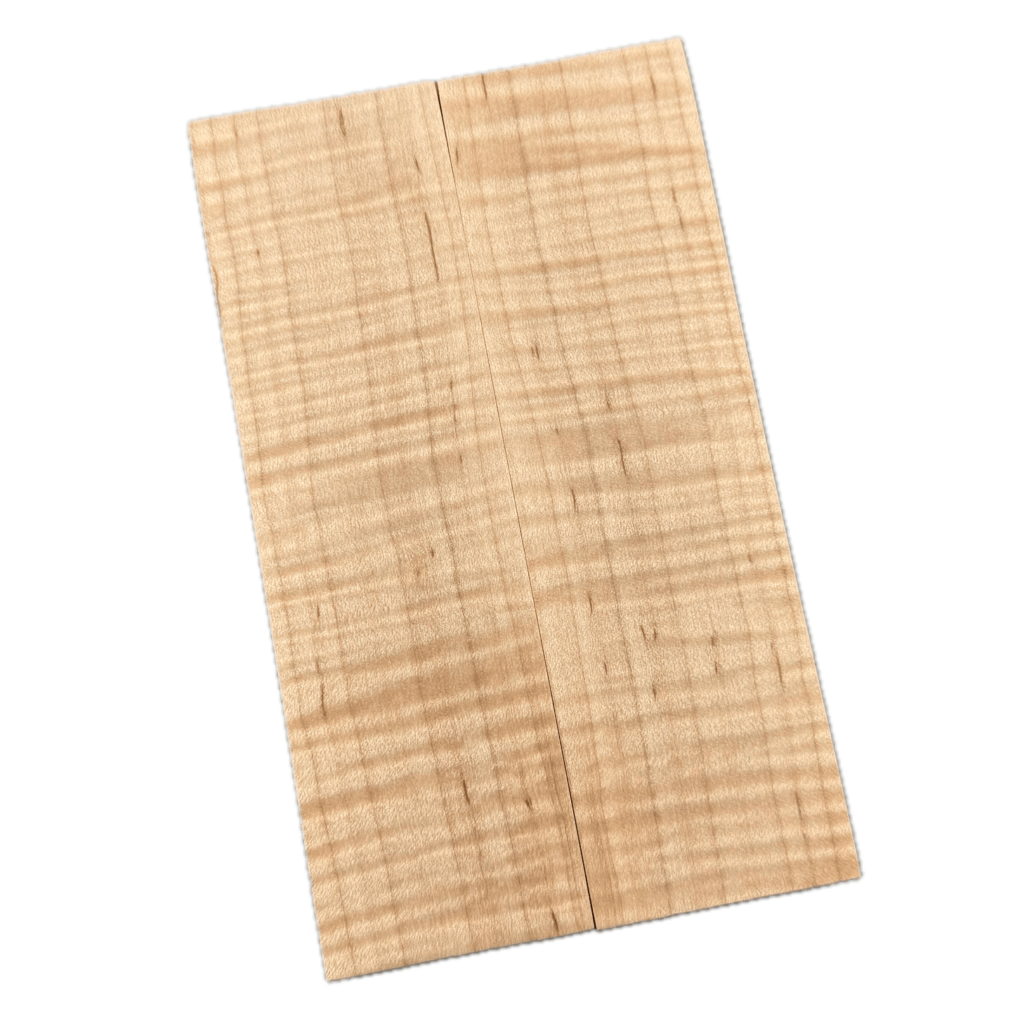 Curly Maple Scales (K&G Stabilized) - MCU13