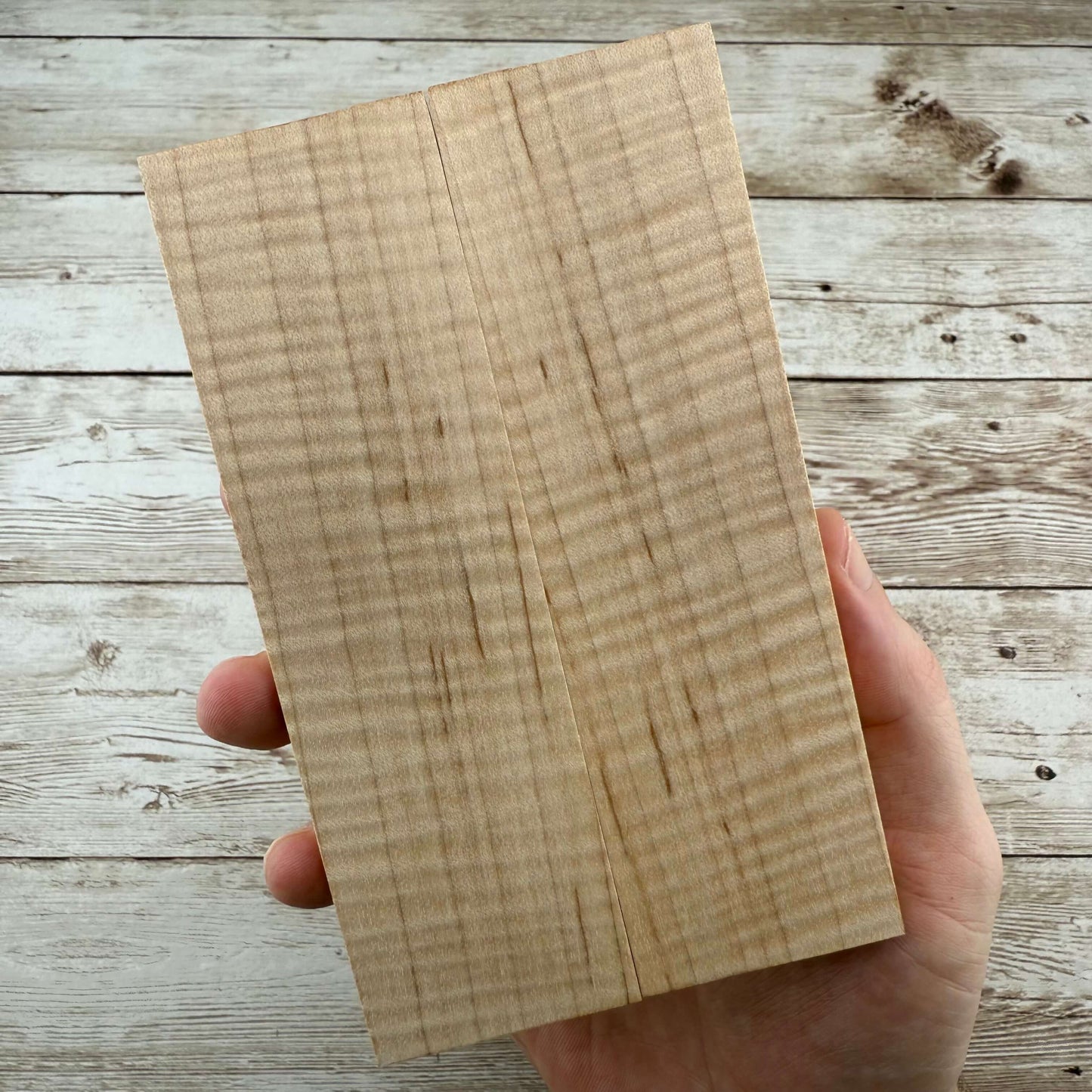 Curly Maple Scales (K&G Stabilized) - MCU14