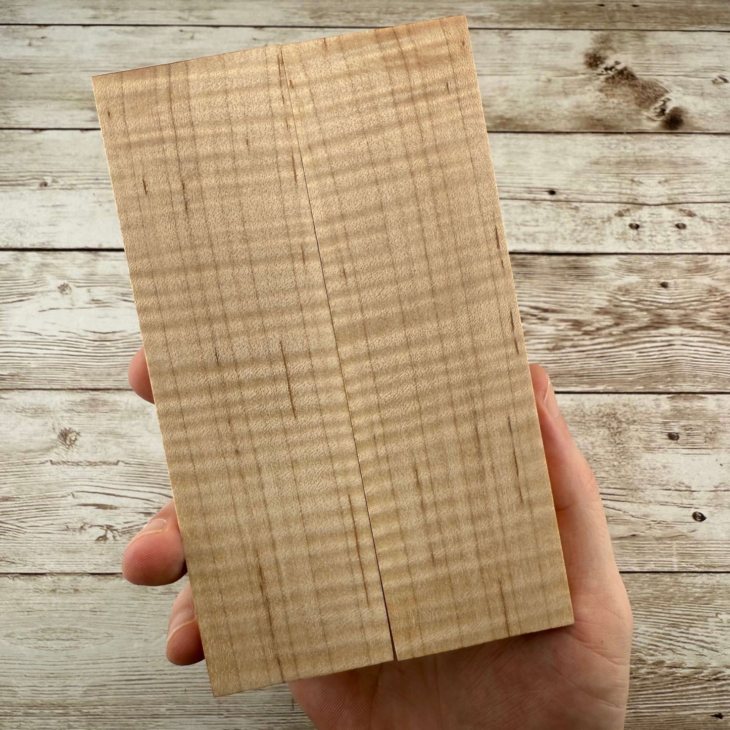 Curly Maple Scales (K&G Stabilized) - MCU15