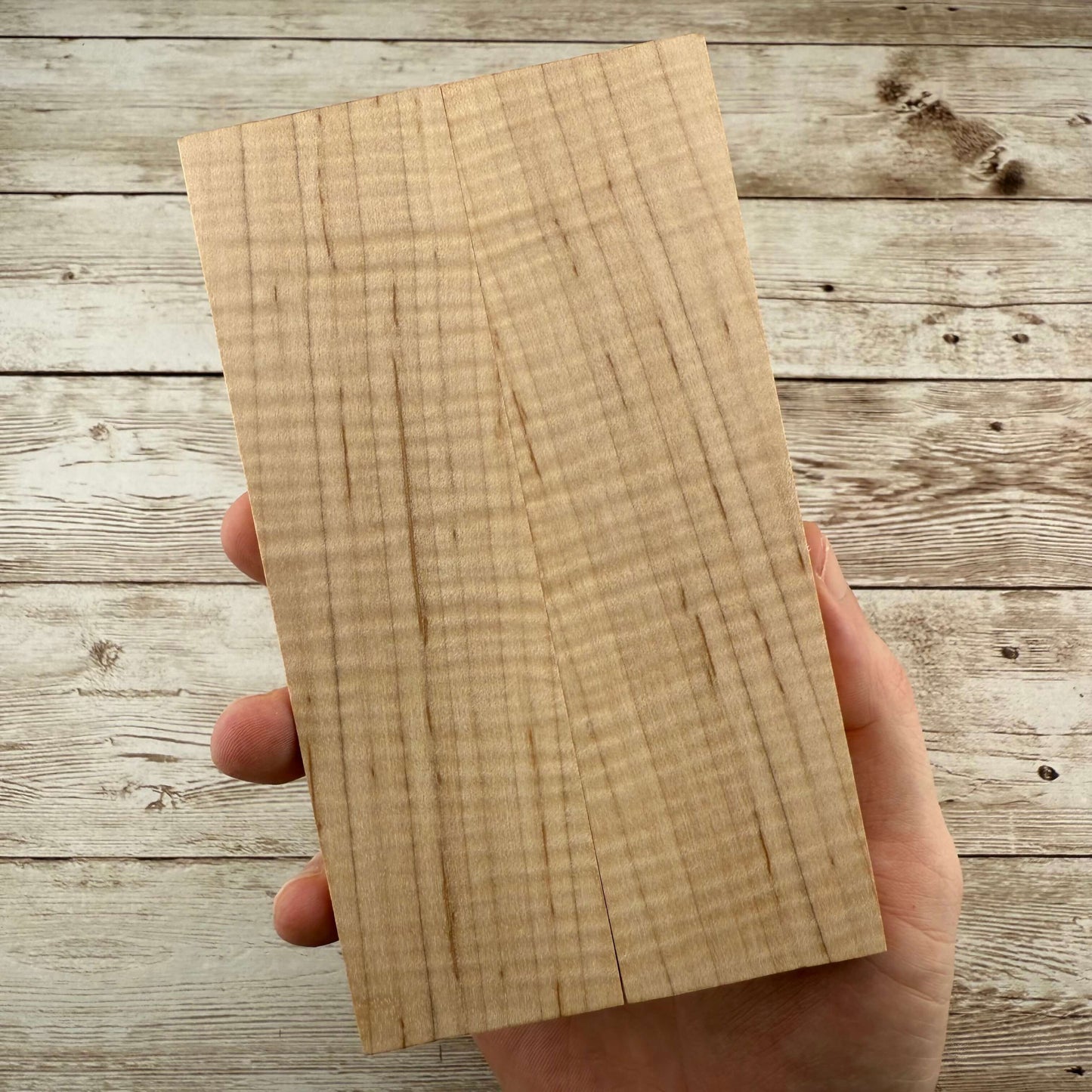 Curly Maple Scales (K&G Stabilized) - MCU16