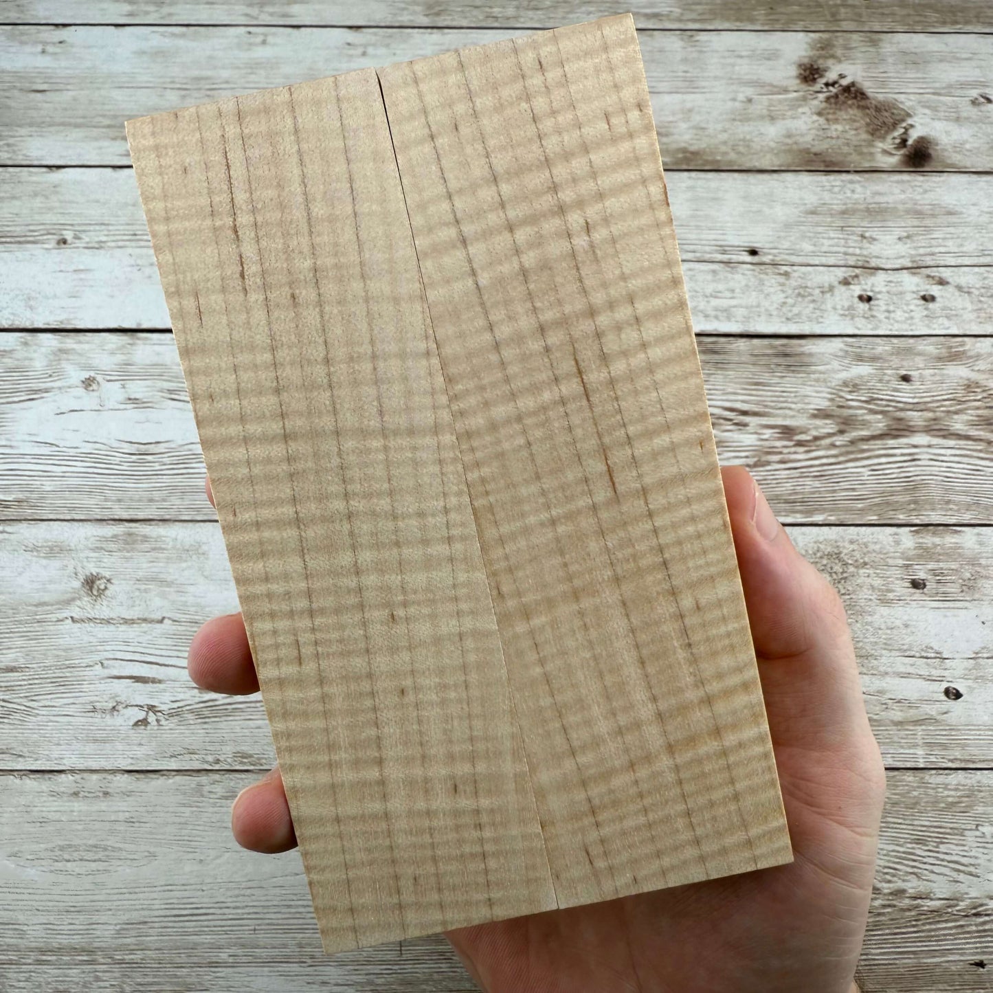 Curly Maple Scales (K&G Stabilized) - MCU17