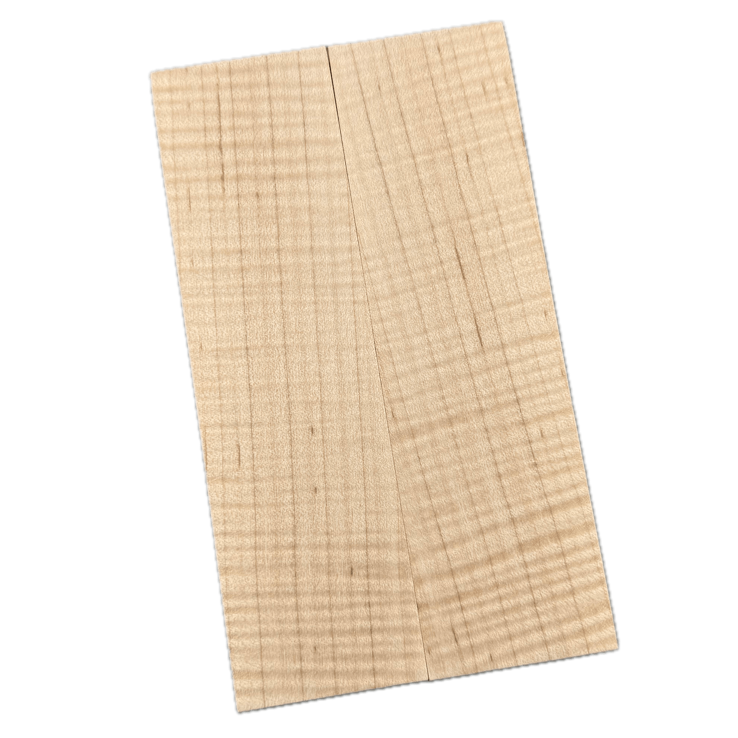 Curly Maple Scales (K&G Stabilized) - MCU17