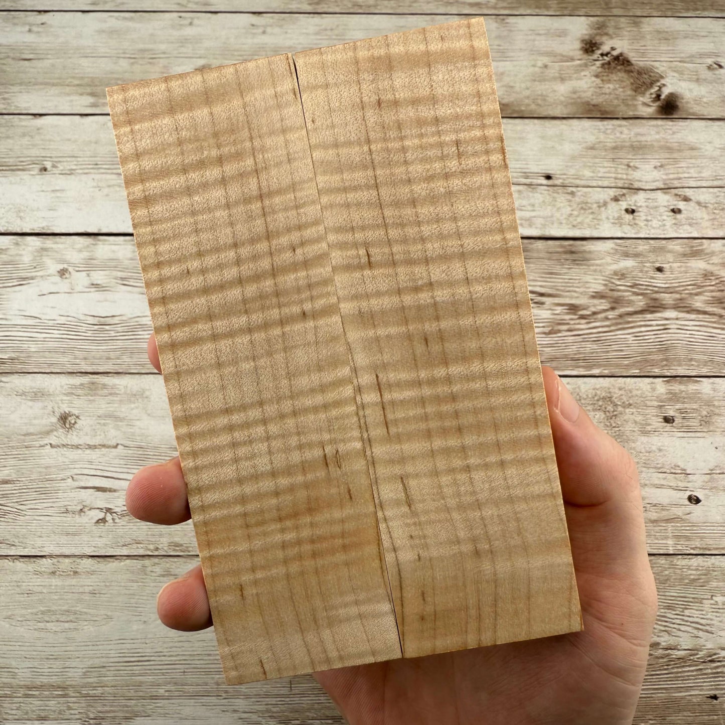 Curly Maple Scales (K&G Stabilized) - MCU18