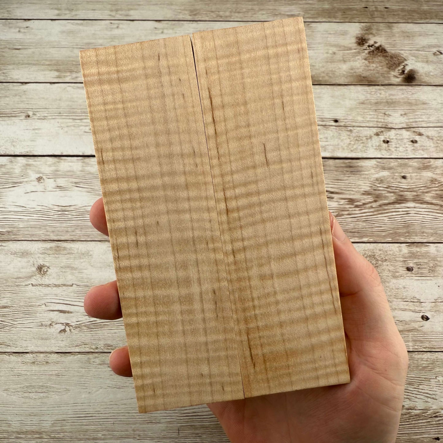 Curly Maple Scales (K&G Stabilized) - MCU20