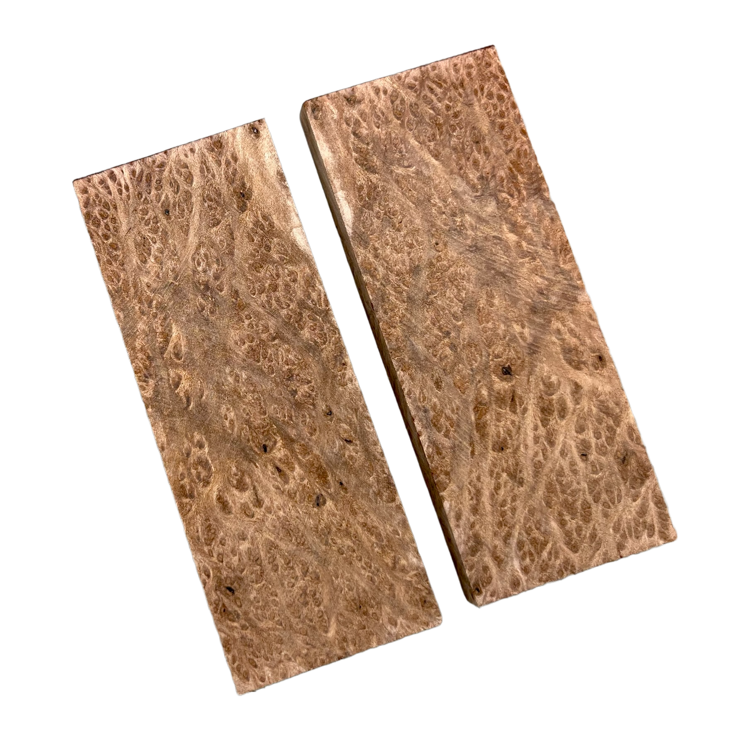 Redwood Burl Scales (K&G stabilized) - REB01