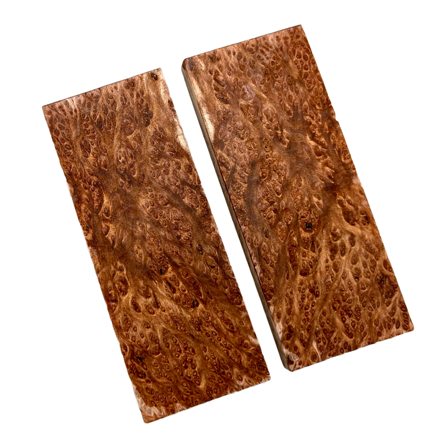 Redwood Burl Scales (K&G stabilized) - REB01