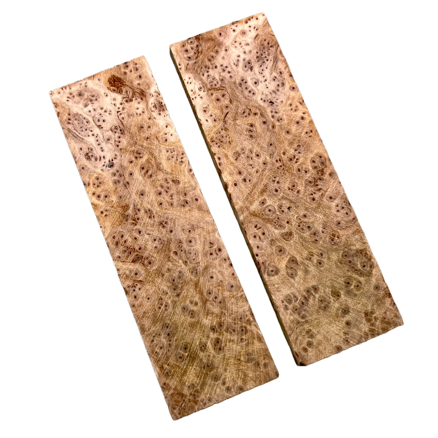 Redwood Burl Scales (K&G stabilized) - REB02