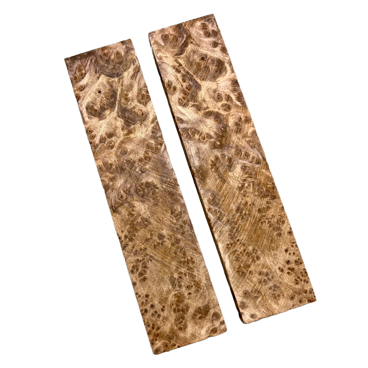 Redwood Burl Scales (K&G stabilized) - REB03