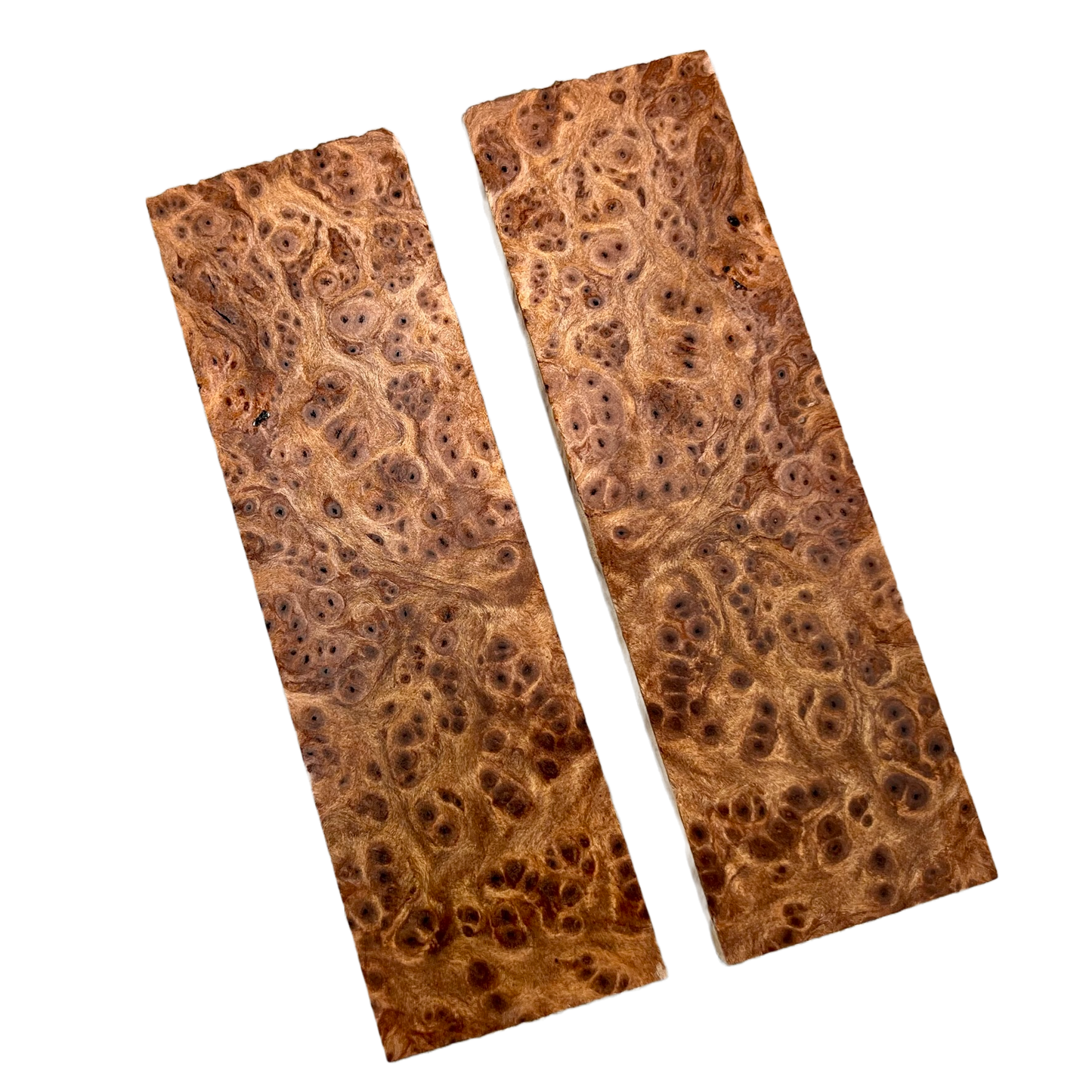 Redwood Burl Scales (K&G stabilized) - REB04