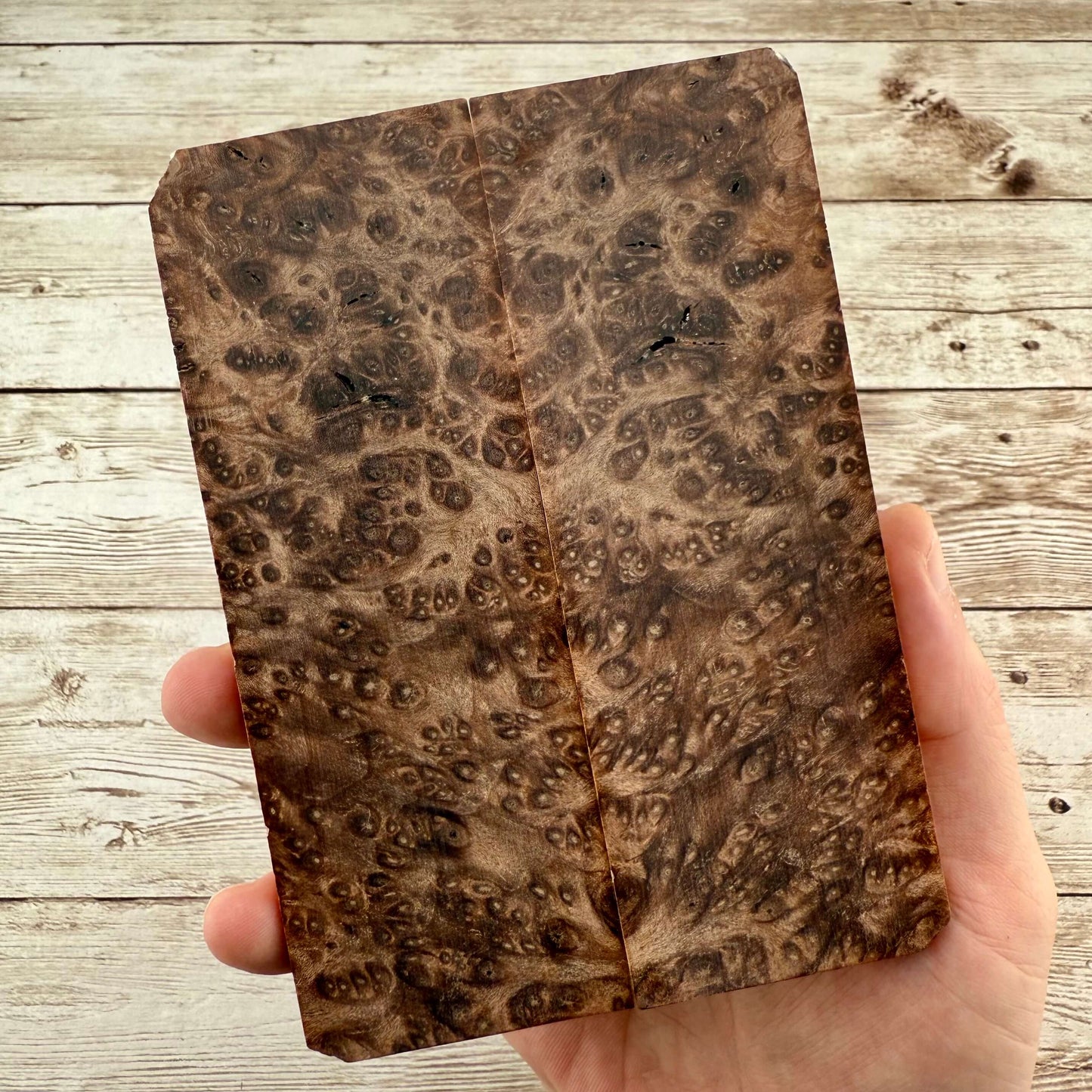 Redwood Burl Scales (K&G Stabilized) - REB31