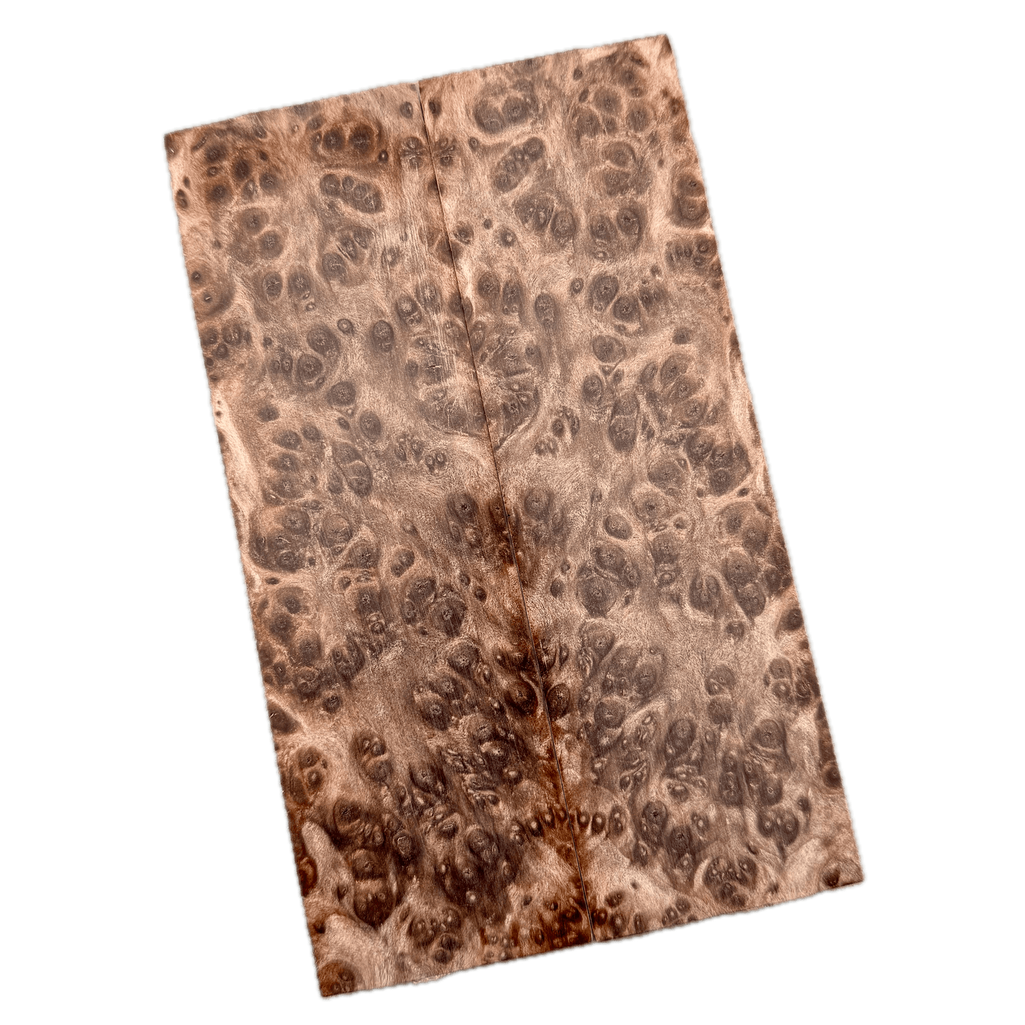 Redwood Burl Scales (K&G Stabilized) - REB32