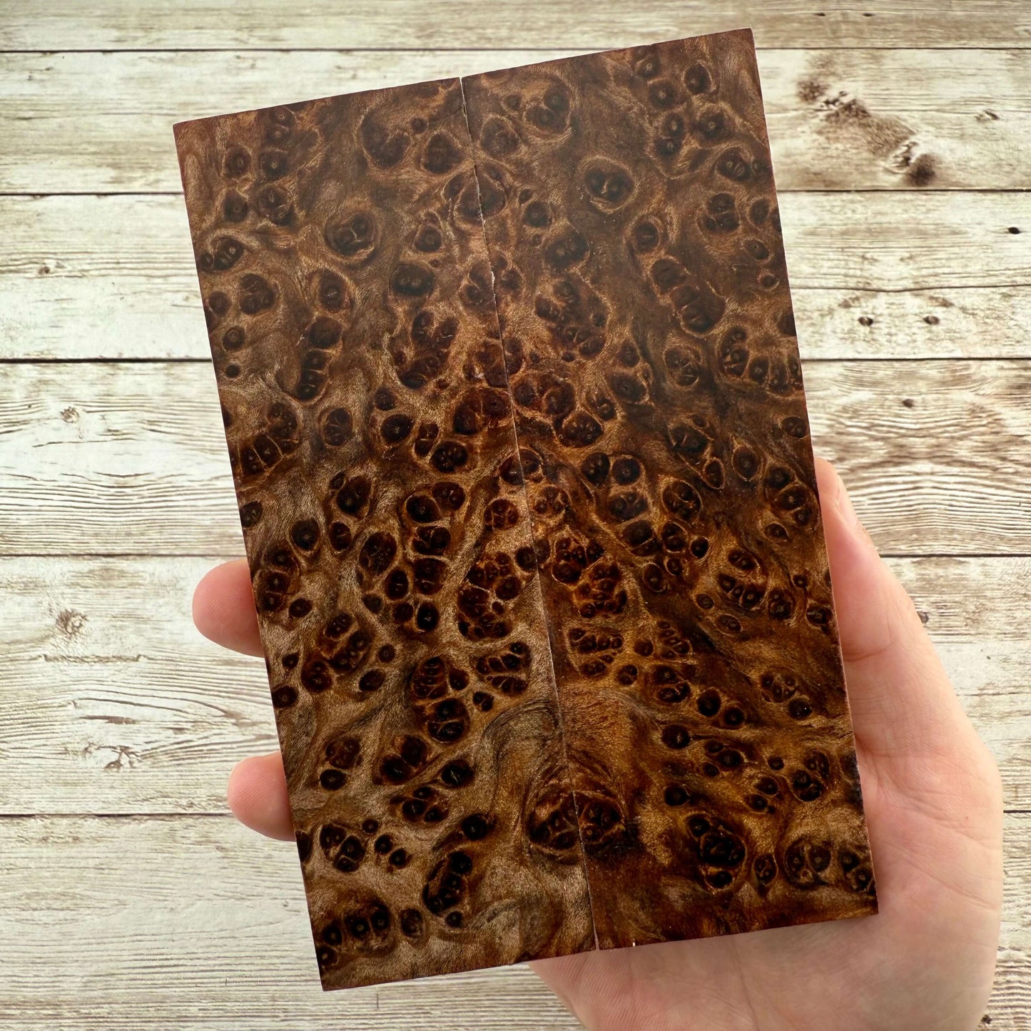 Redwood Burl Scales (K&G Stabilized) - REB33