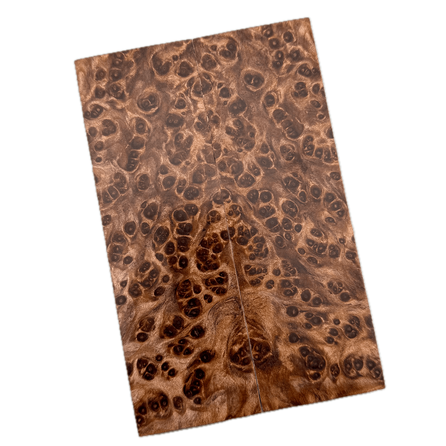 Redwood Burl Scales (K&G Stabilized) - REB33