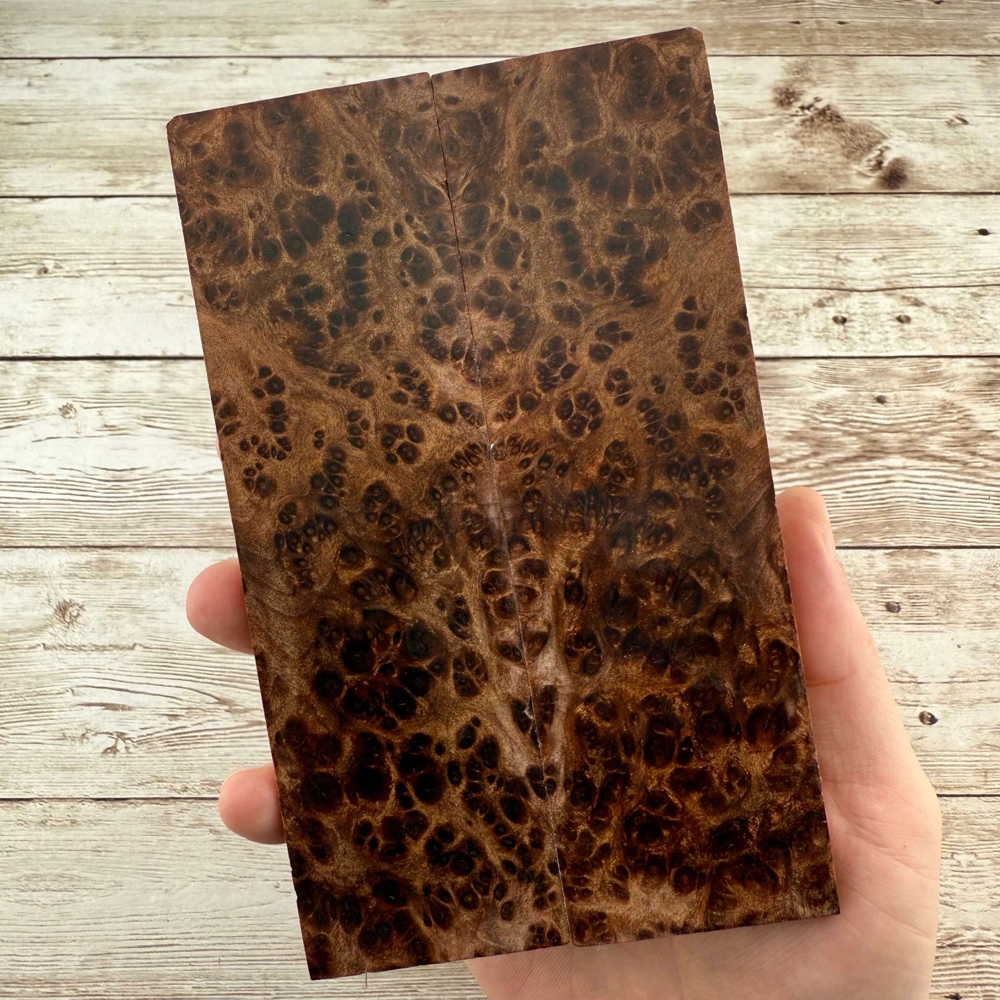 Redwood Burl Scales (K&G Stabilized) - REB34