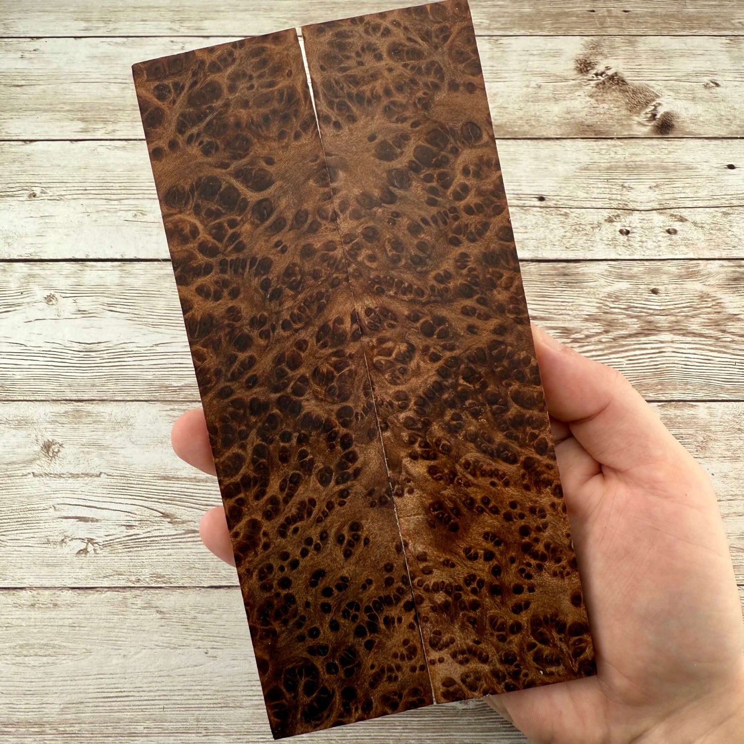 Redwood Burl Scales (K&G Stabilized) - REB36