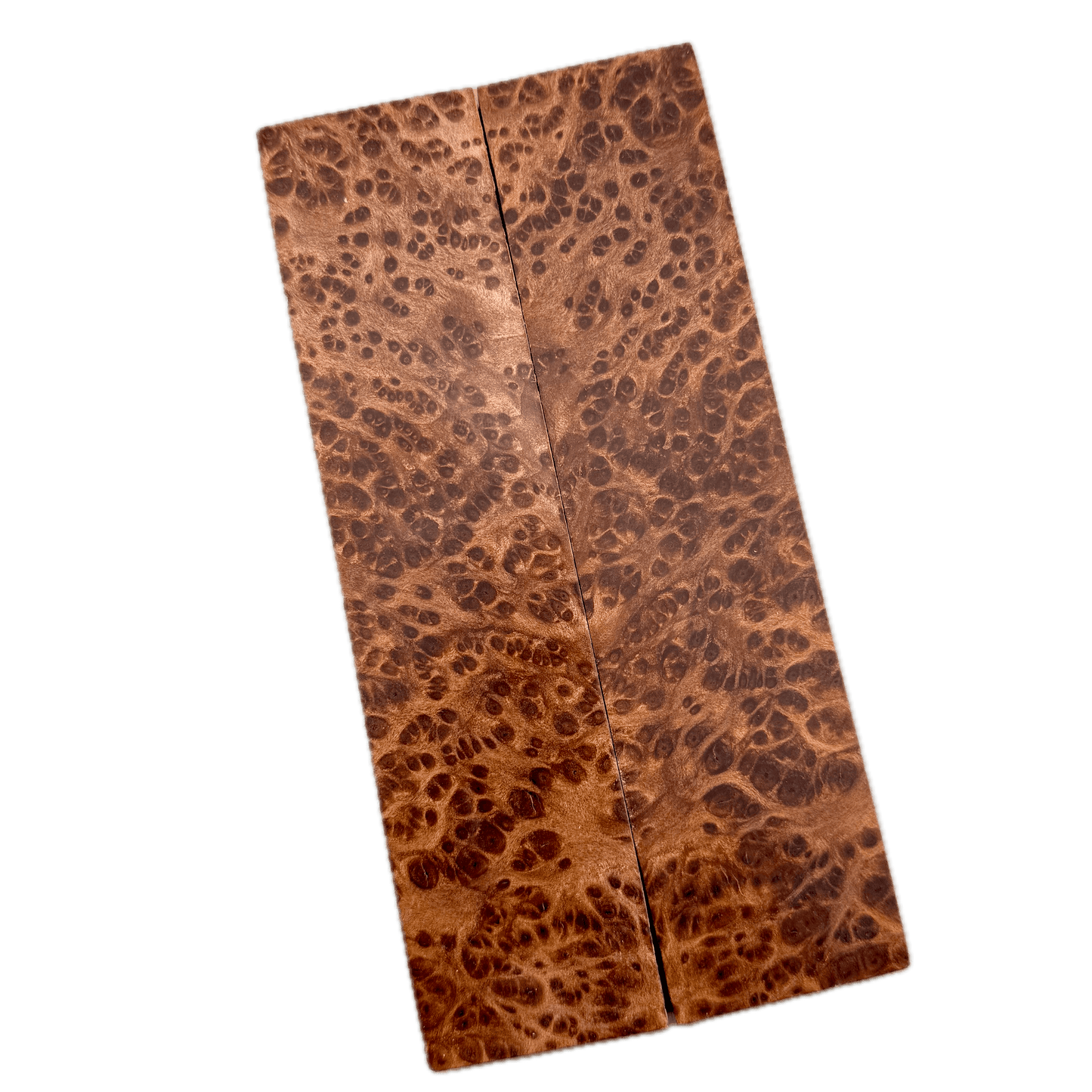 Redwood Burl Scales (K&G Stabilized) - REB36