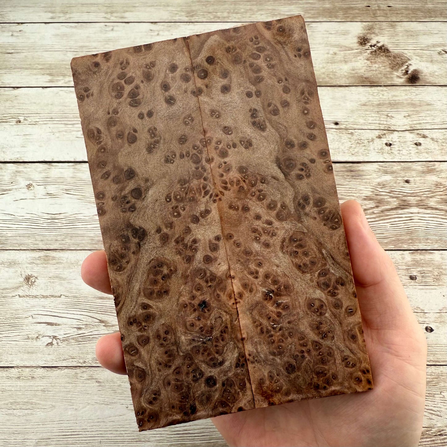 Redwood Burl Scales (K&G Stabilized) - REB37