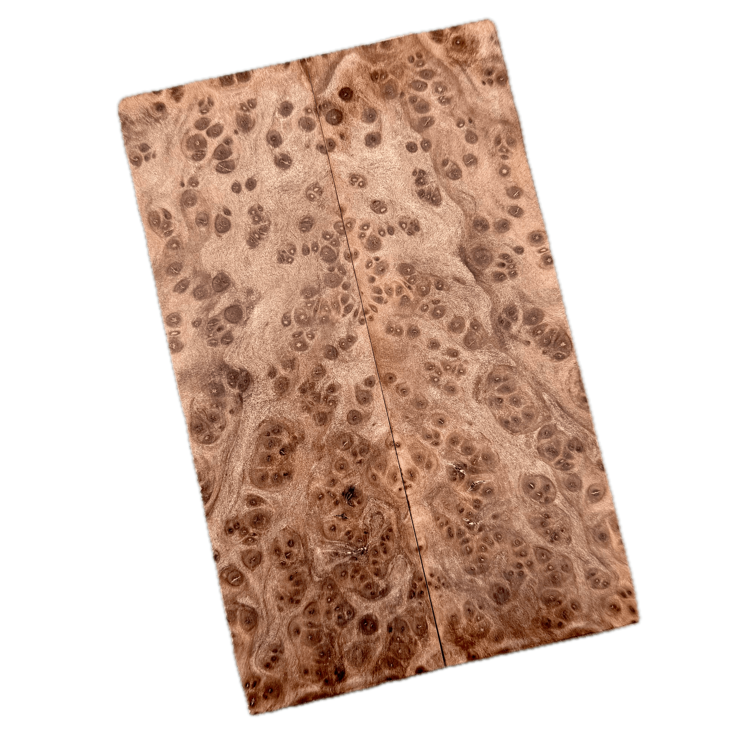 Redwood Burl Scales (K&G Stabilized) - REB37