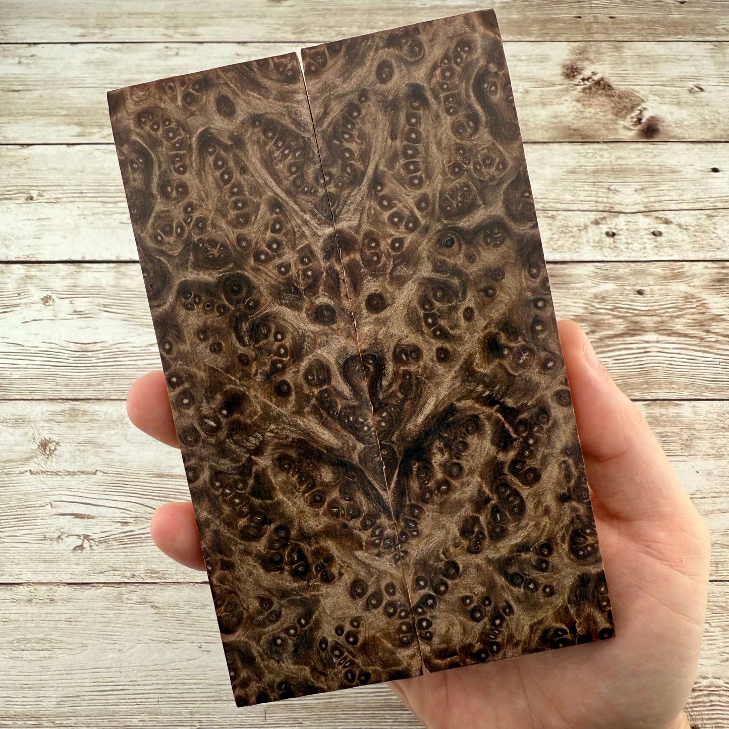 Redwood Burl Scales (K&G Stabilized) - REB38